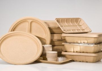 biodegradable food packaging