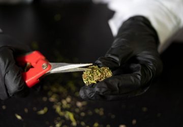 cannabis delivery